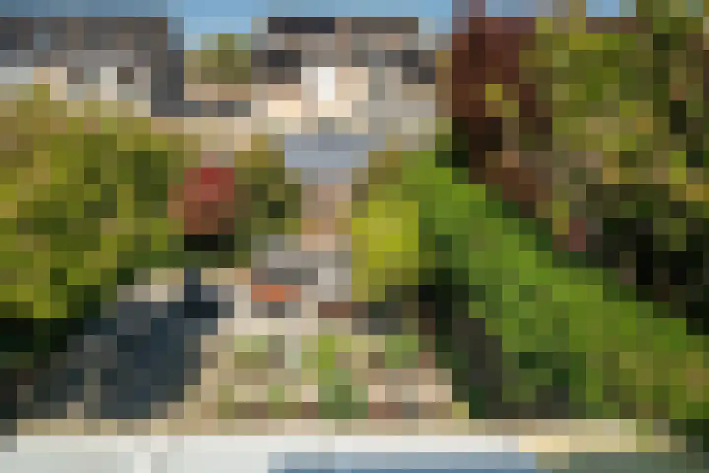 Karekiet 9 's-Hertogenbosch thumbnail 43