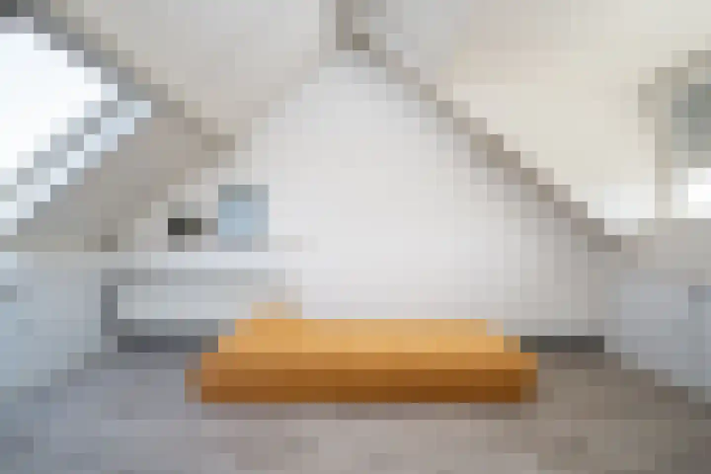 Karekiet 9 's-Hertogenbosch thumbnail 48