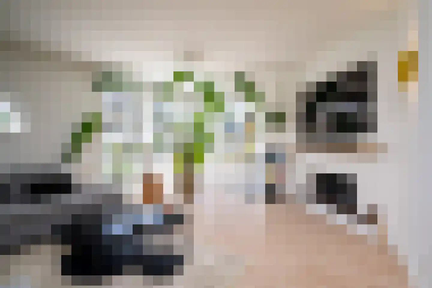 Karekiet 9 's-Hertogenbosch thumbnail 5