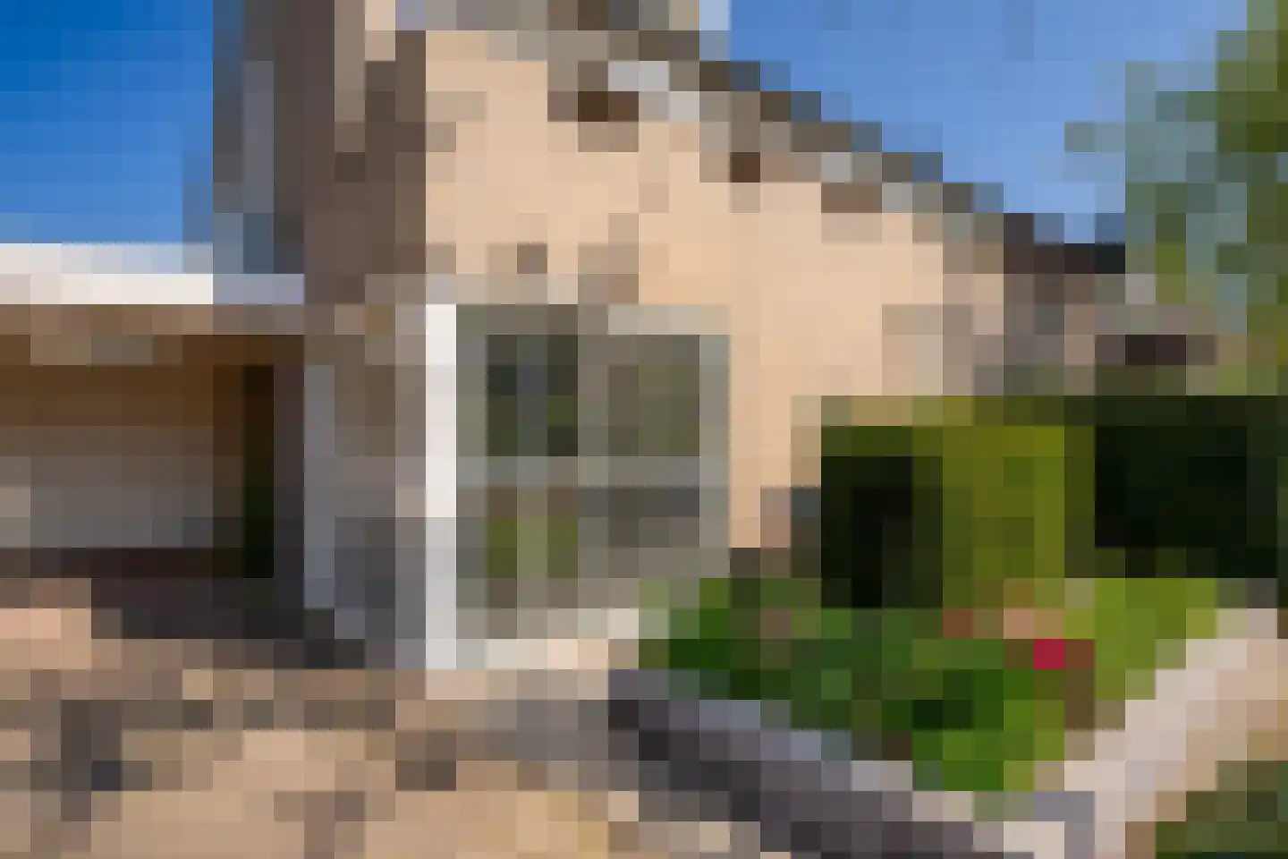 Karekiet 9 's-Hertogenbosch thumbnail 53