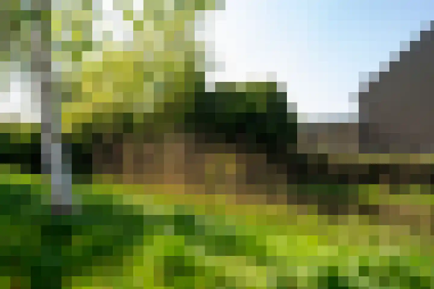 Karekiet 9 's-Hertogenbosch thumbnail 54