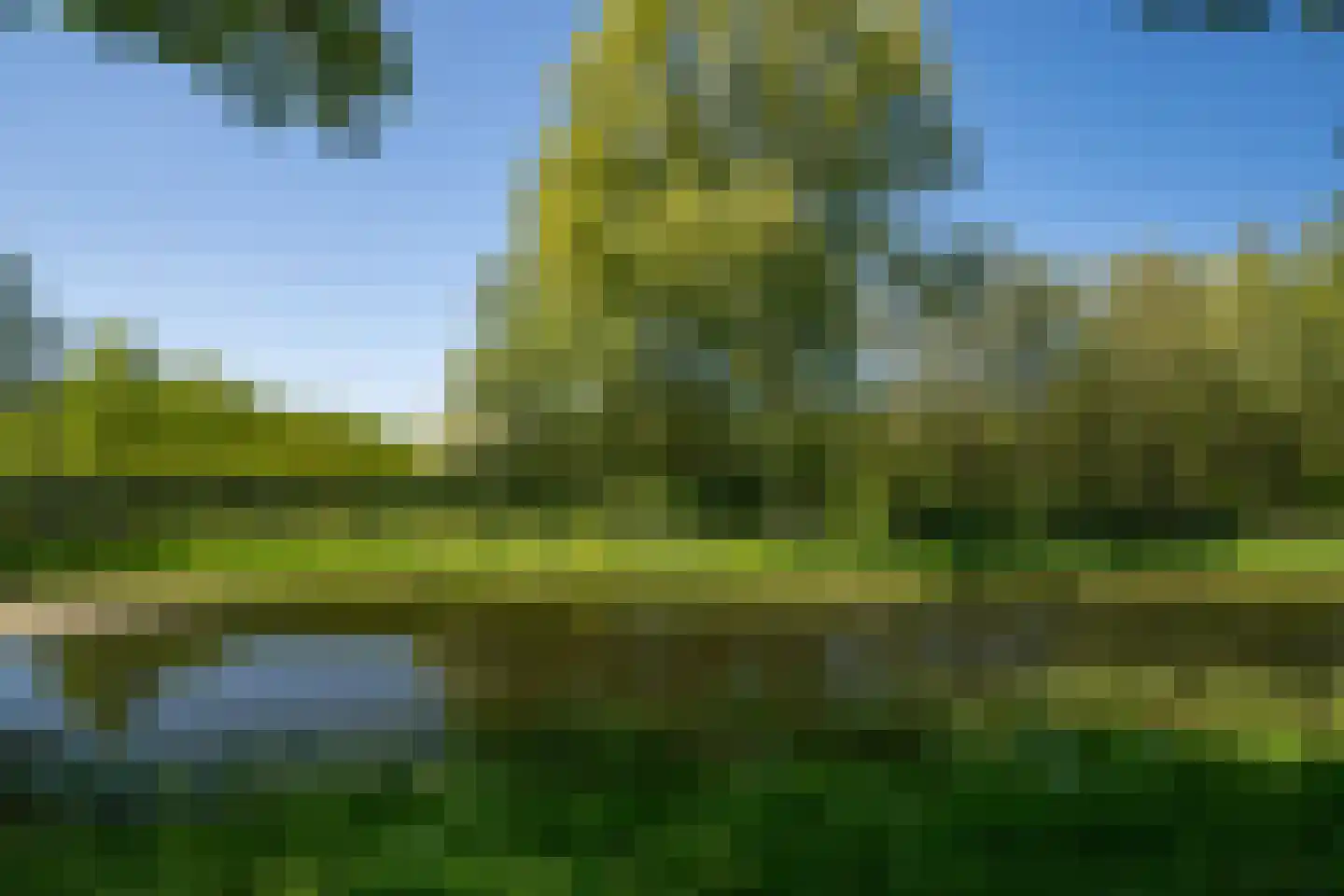 Karekiet 9 's-Hertogenbosch thumbnail 56