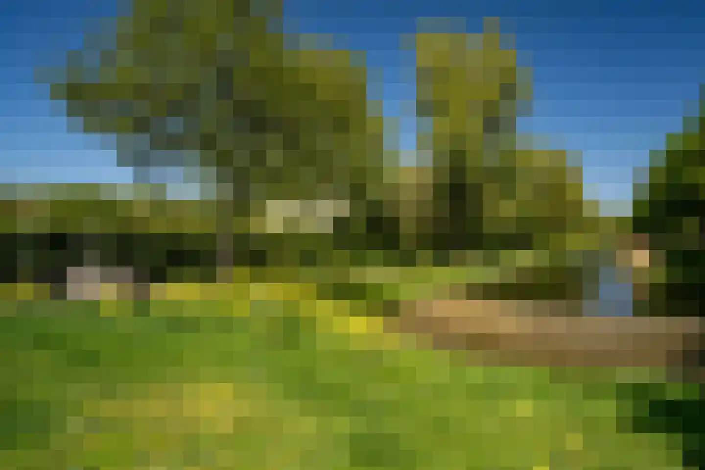 Karekiet 9 's-Hertogenbosch thumbnail 58