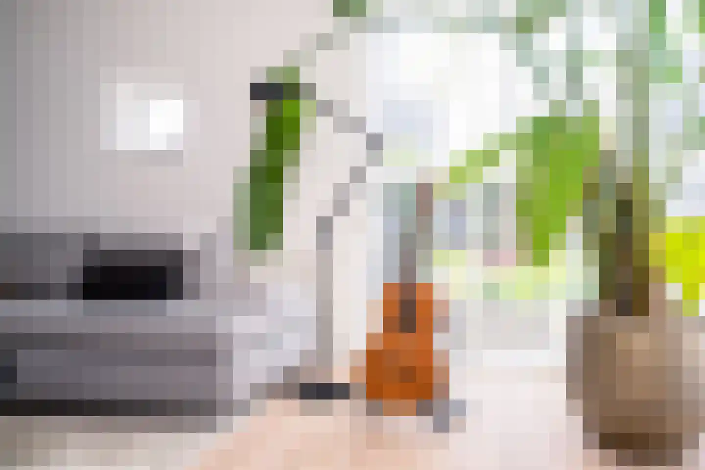 Karekiet 9 's-Hertogenbosch thumbnail 7