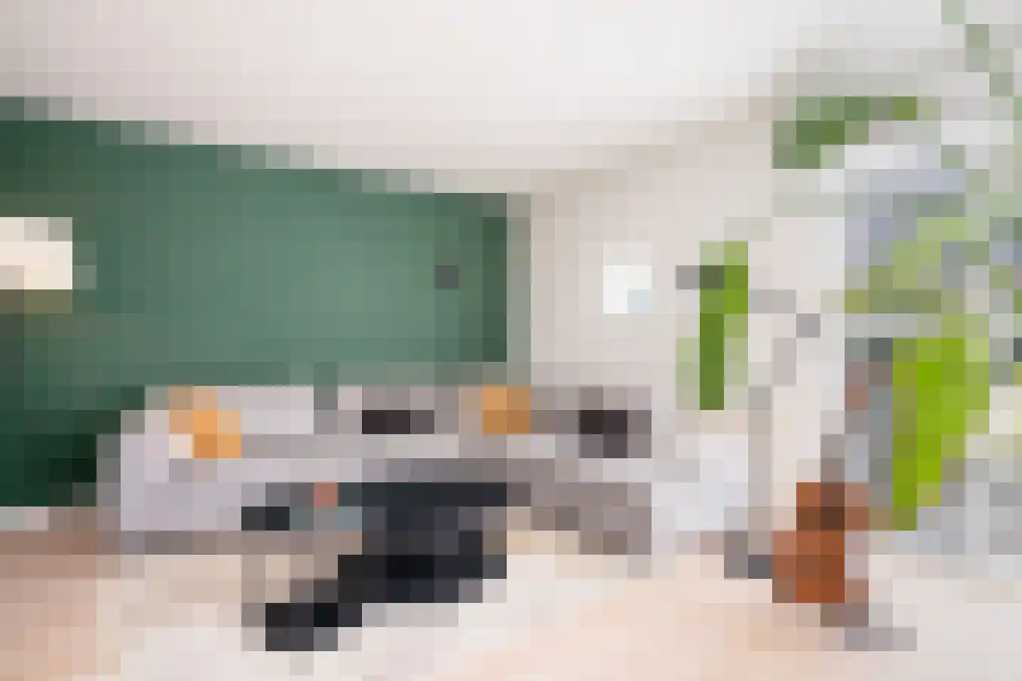 Karekiet 9 's-Hertogenbosch thumbnail 9