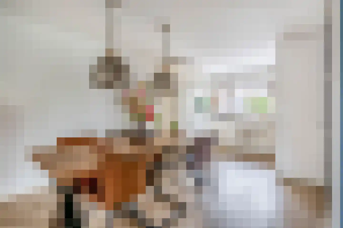 Karekiethof 1 Ouderkerk aan den IJssel thumbnail 17