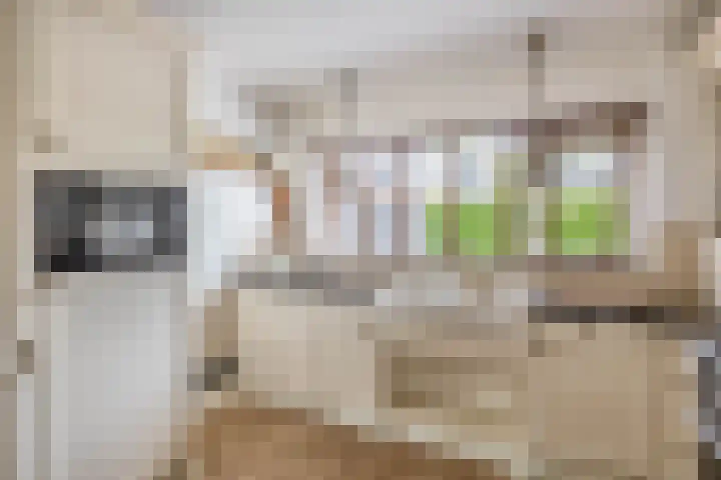Karekiethof 1 Ouderkerk aan den IJssel thumbnail 19