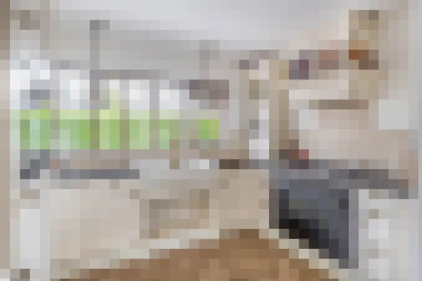 Karekiethof 1 Ouderkerk aan den IJssel thumbnail 20