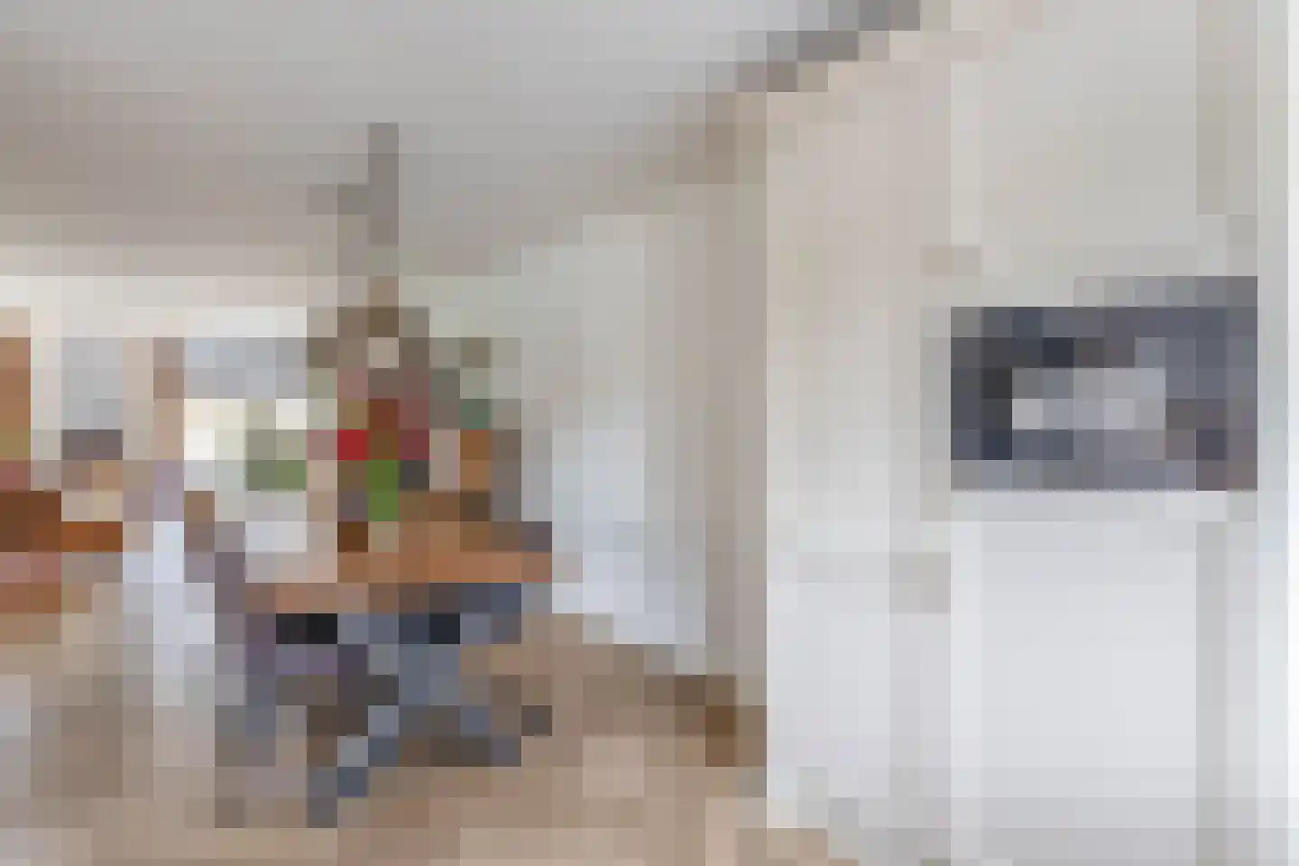 Karekiethof 1 Ouderkerk aan den IJssel thumbnail 21
