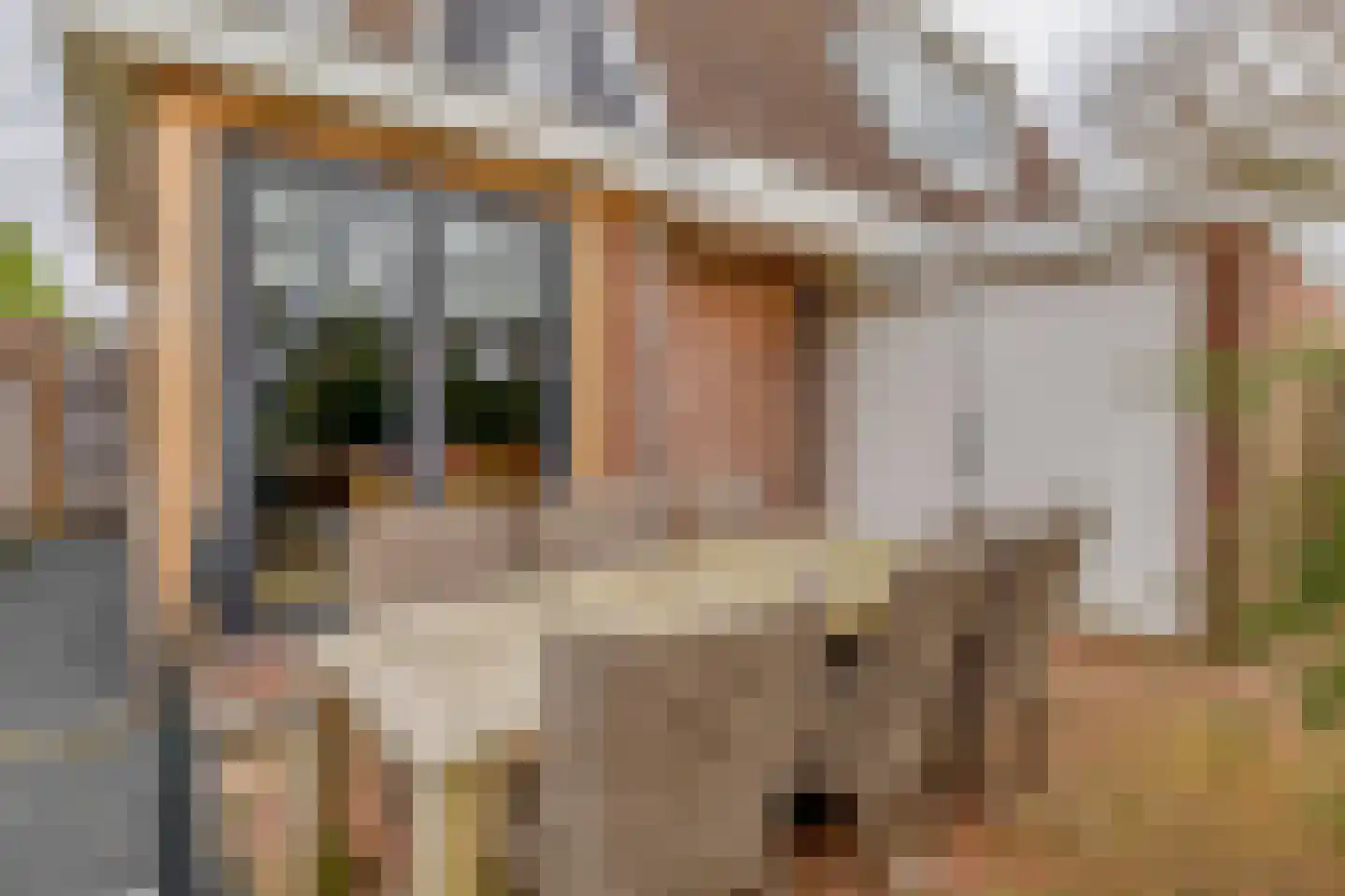 Karekiethof 1 Ouderkerk aan den IJssel thumbnail 23