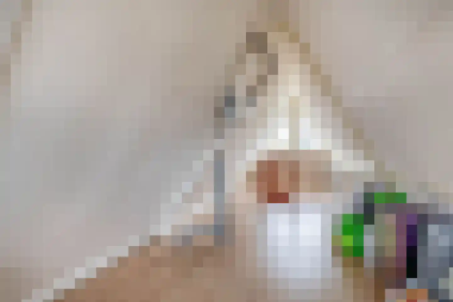 Karekiethof 1 Ouderkerk aan den IJssel thumbnail 41