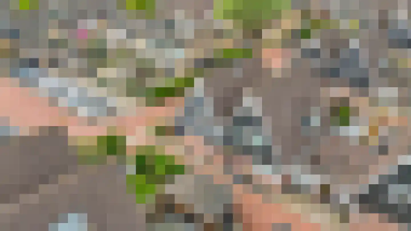 Karekiethof 1 Ouderkerk aan den IJssel thumbnail 47