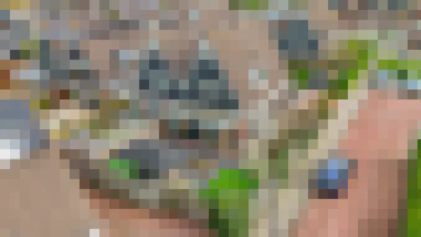 Karekiethof 1 Ouderkerk aan den IJssel thumbnail 49