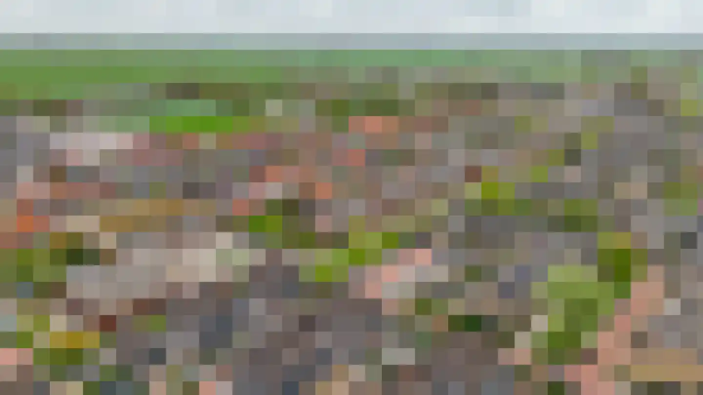 Karekiethof 1 Ouderkerk aan den IJssel thumbnail 51