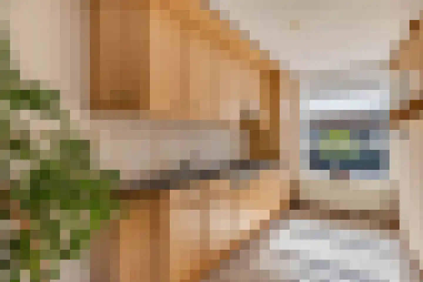 Karekiethof 18 Emmeloord thumbnail 11