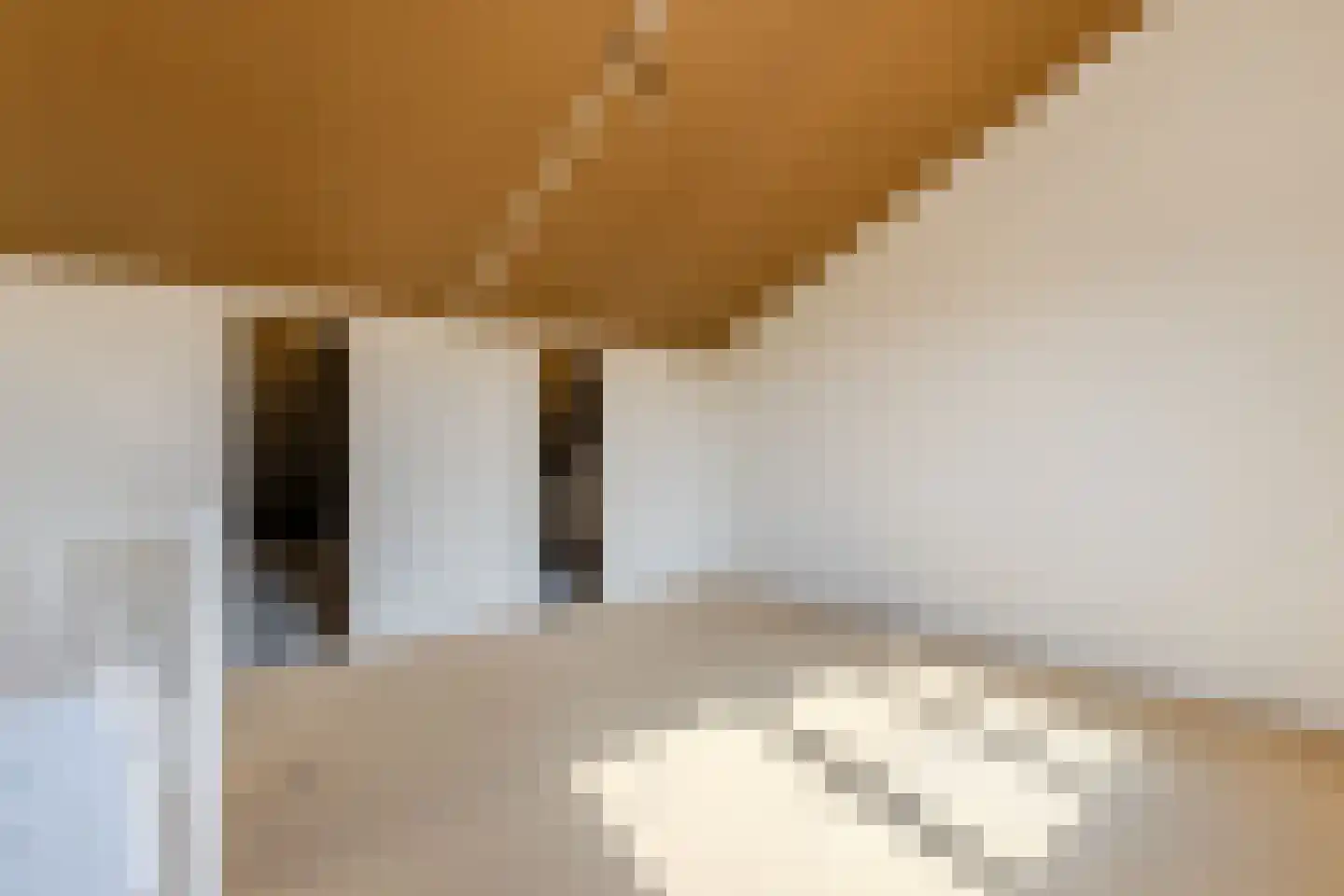 Karekiethof 18 Emmeloord thumbnail 27