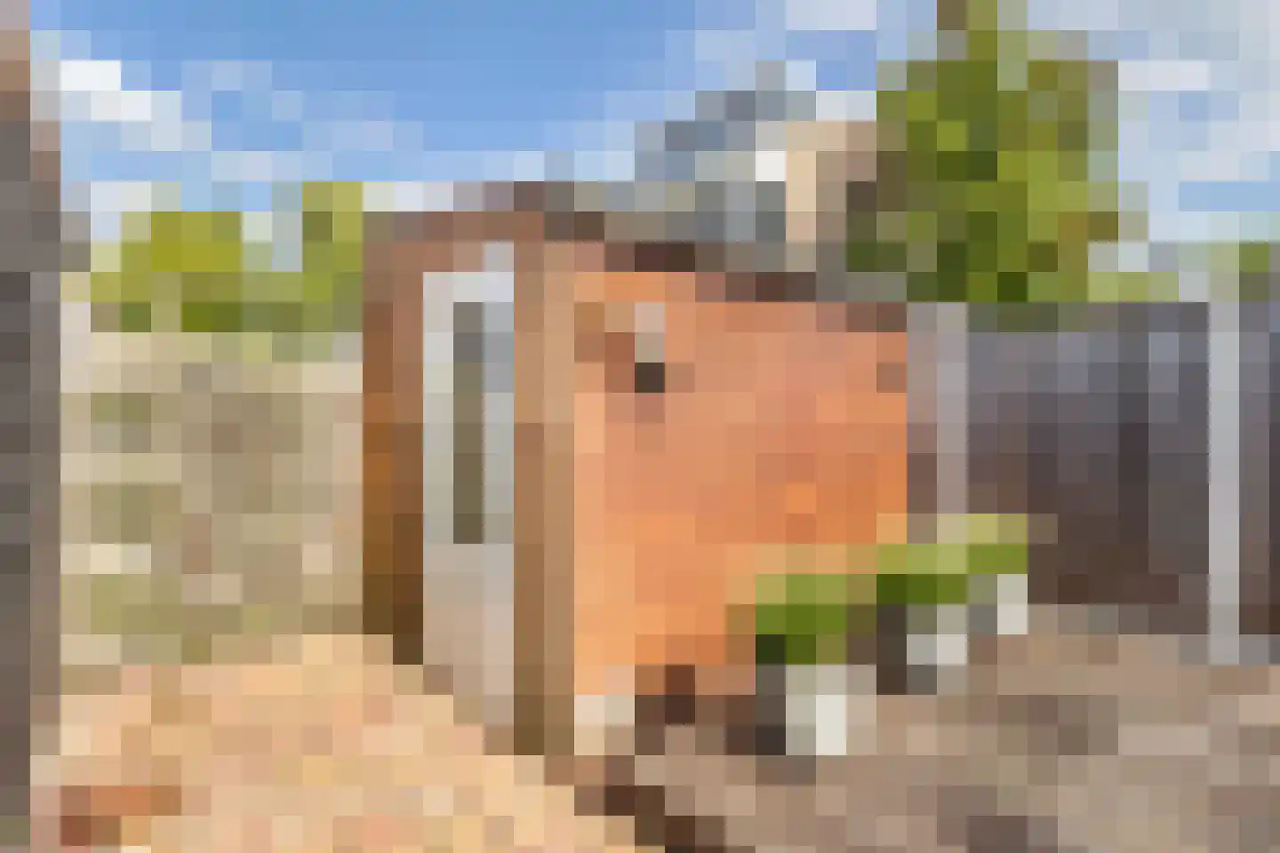 Karekiethof 18 Emmeloord thumbnail 31
