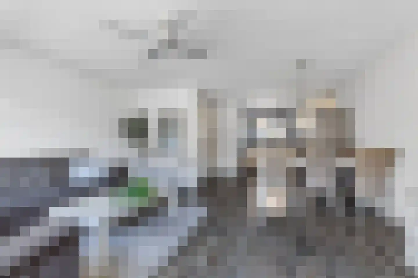 Karekiethof 22 Emmeloord thumbnail 10