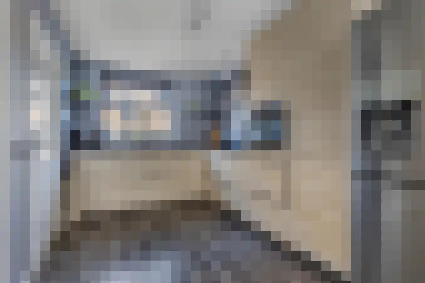 Karekiethof 22 Emmeloord thumbnail 12