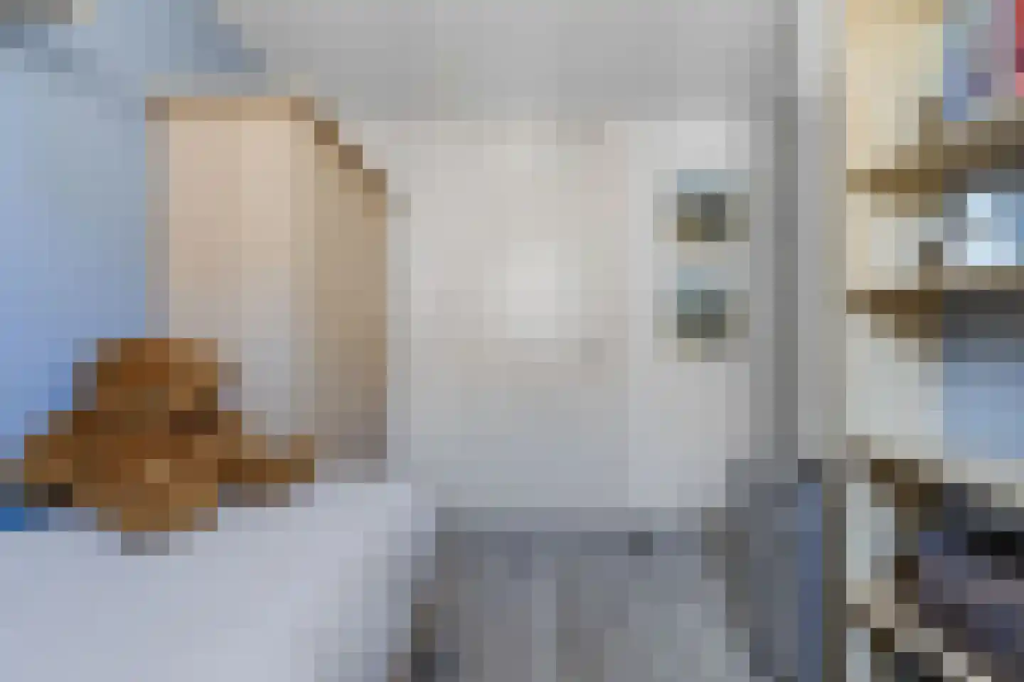 Karekiethof 22 Emmeloord thumbnail 20