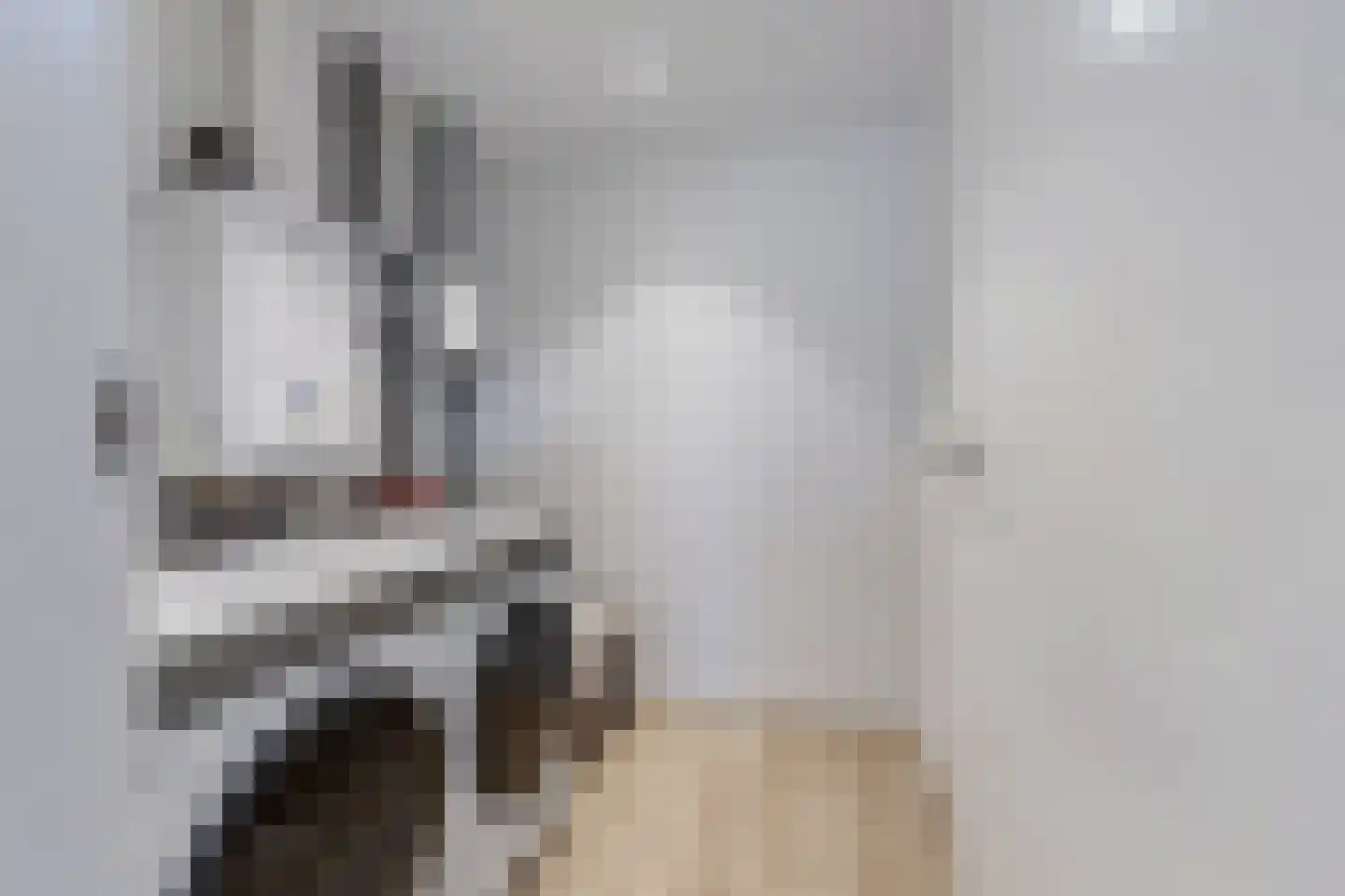 Karekiethof 22 Emmeloord thumbnail 30