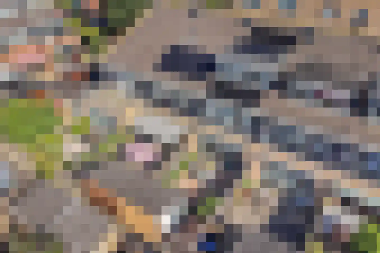 Karekiethof 22 Emmeloord thumbnail 37