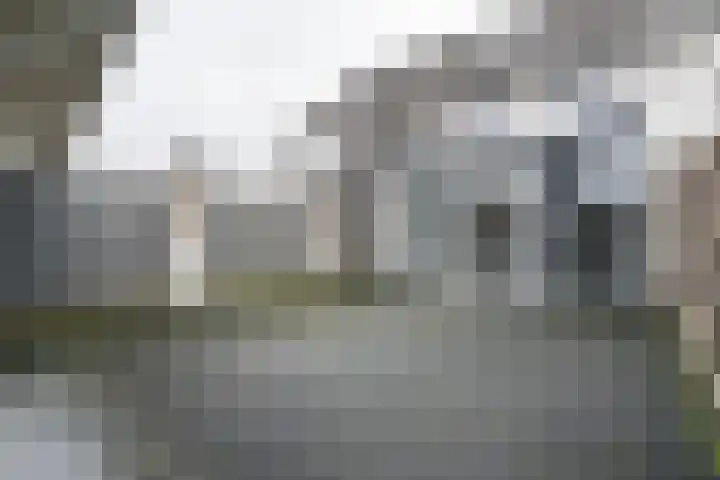 Karekiethof 23 Weert thumbnail 31