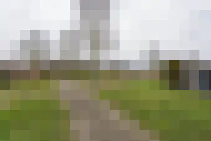 Karekiethof 23 Weert thumbnail 34