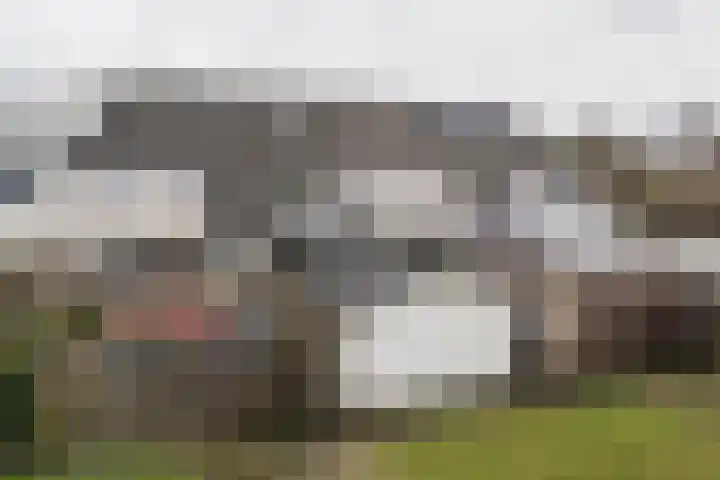 Karekiethof 23 Weert thumbnail 35