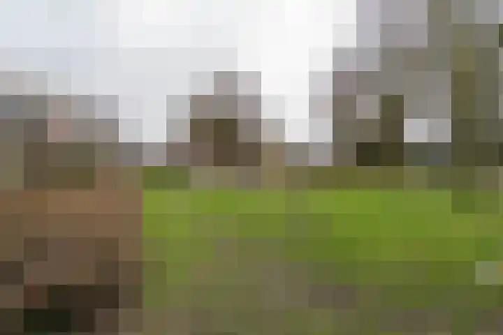 Karekiethof 23 Weert thumbnail 36