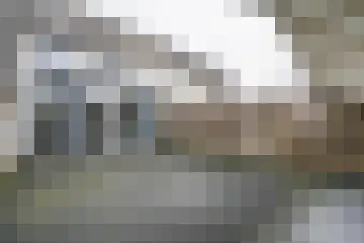 Karekiethof 23 Weert thumbnail 4