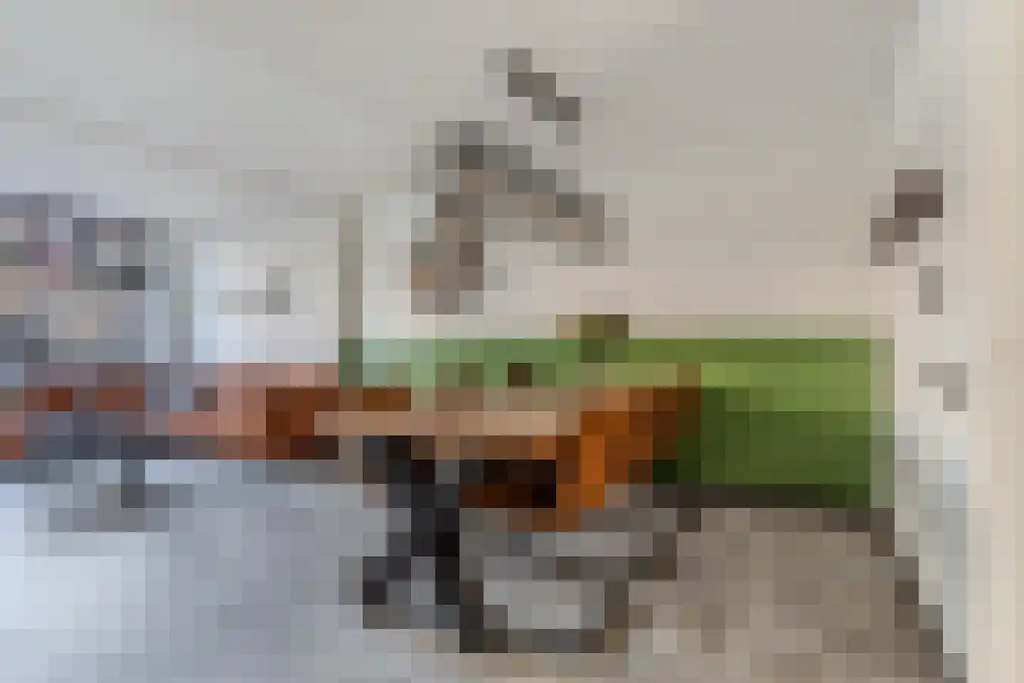 Karekiethof 4 Emmeloord thumbnail 21