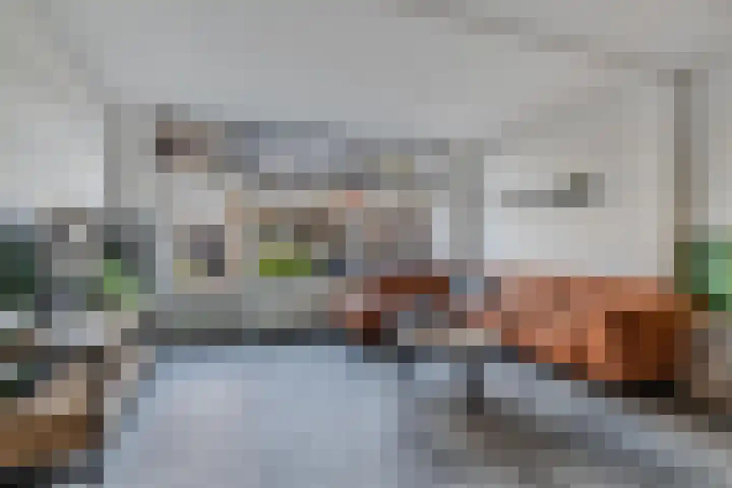 Karekiethof 4 Emmeloord thumbnail 22
