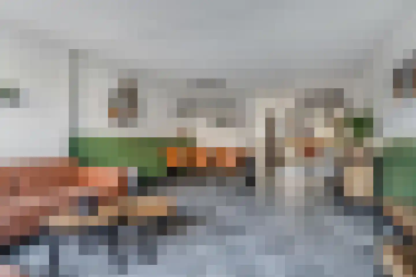 Karekiethof 4 Emmeloord thumbnail 24