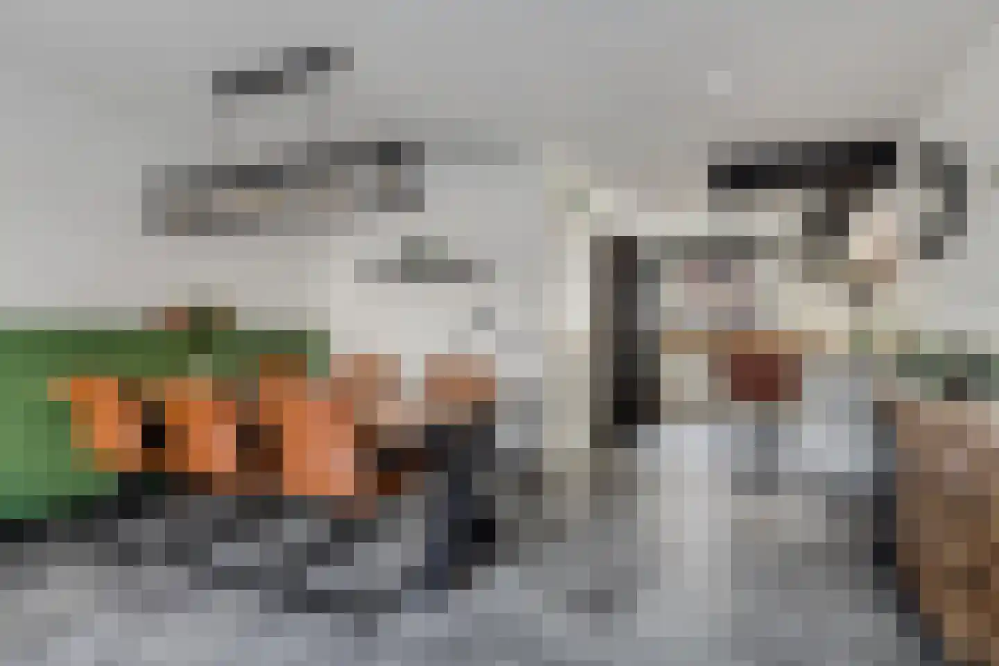 Karekiethof 4 Emmeloord thumbnail 25