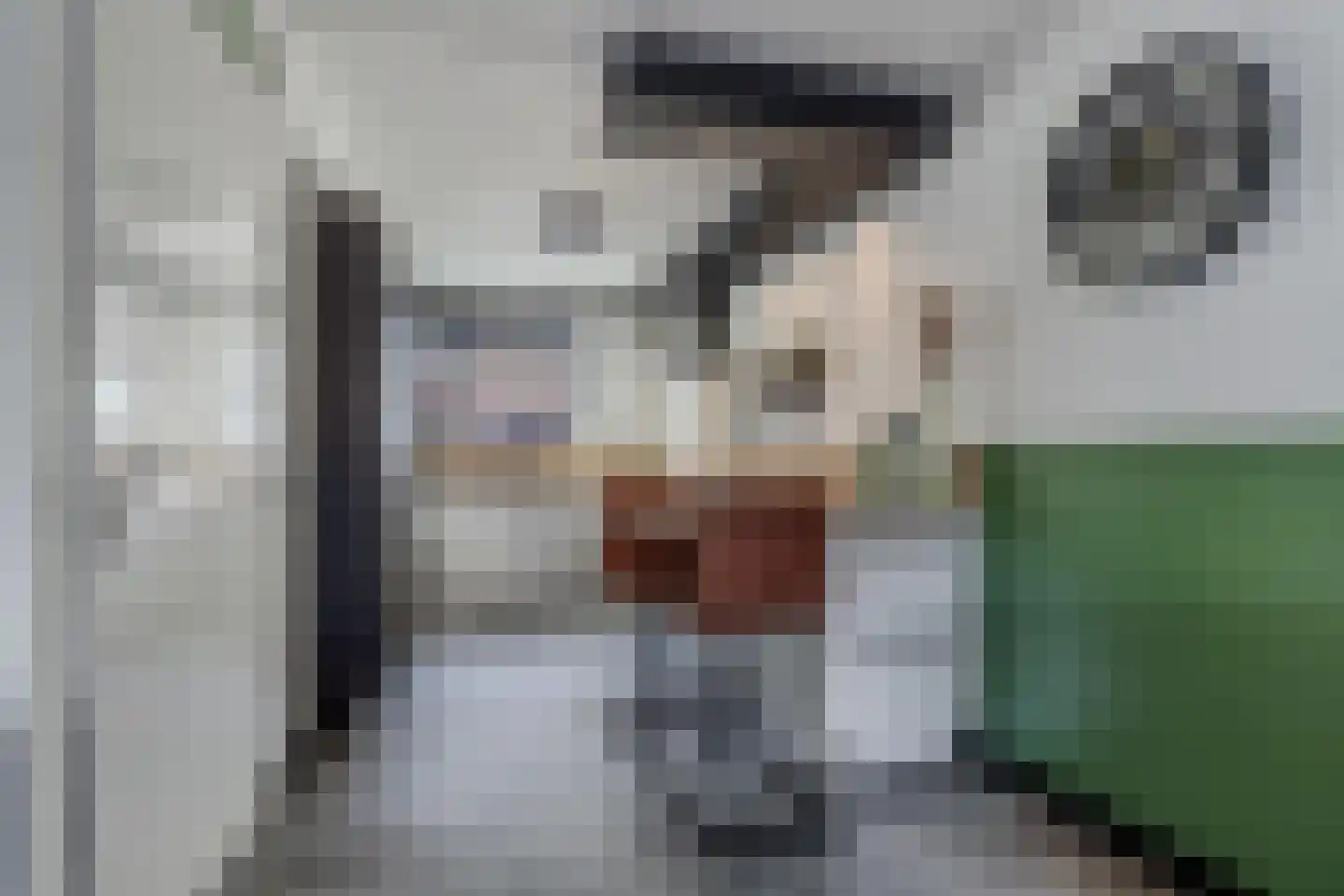Karekiethof 4 Emmeloord thumbnail 26