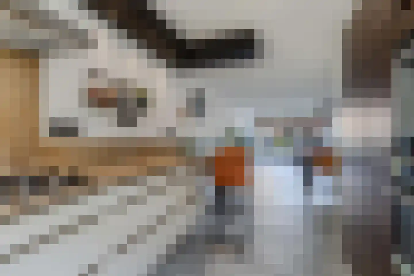 Karekiethof 4 Emmeloord thumbnail 29