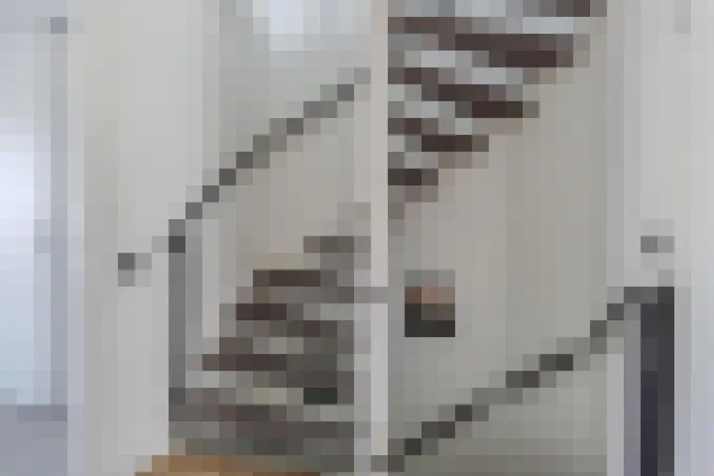 Karekiethof 4 Emmeloord thumbnail 30