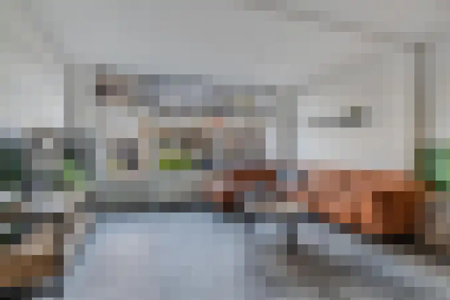 Karekiethof 4 Emmeloord thumbnail 5