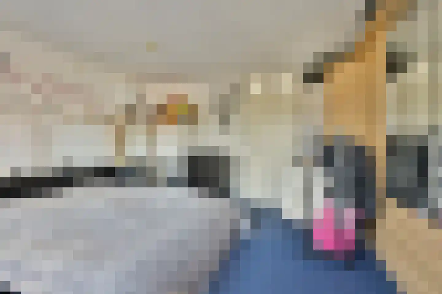 Karekiethof 6 Emmeloord thumbnail 16