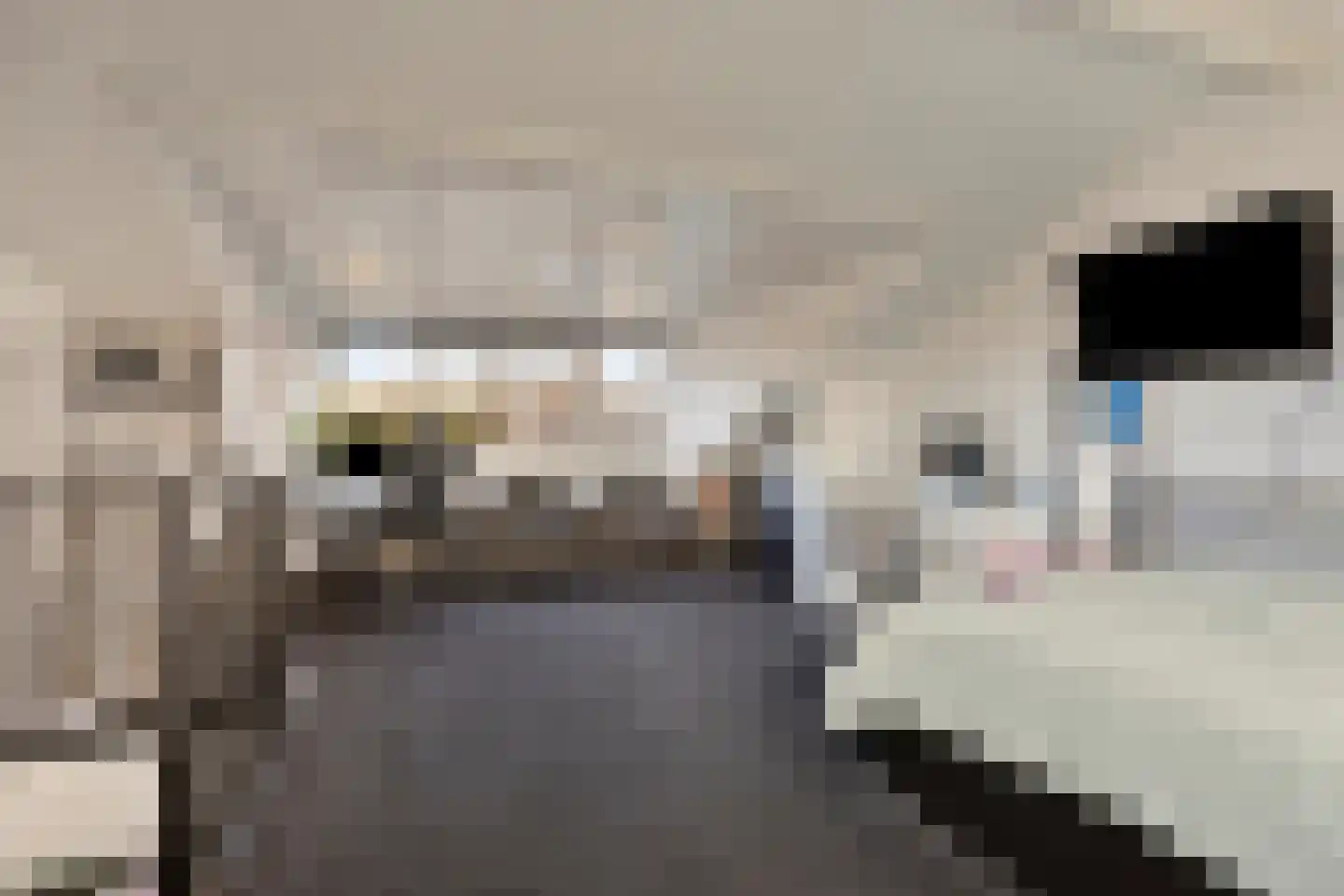 Karekiethof 6 Emmeloord thumbnail 20