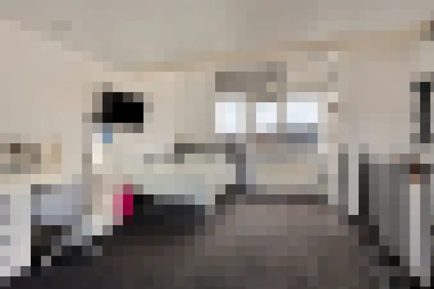 Karekiethof 6 Emmeloord thumbnail 21