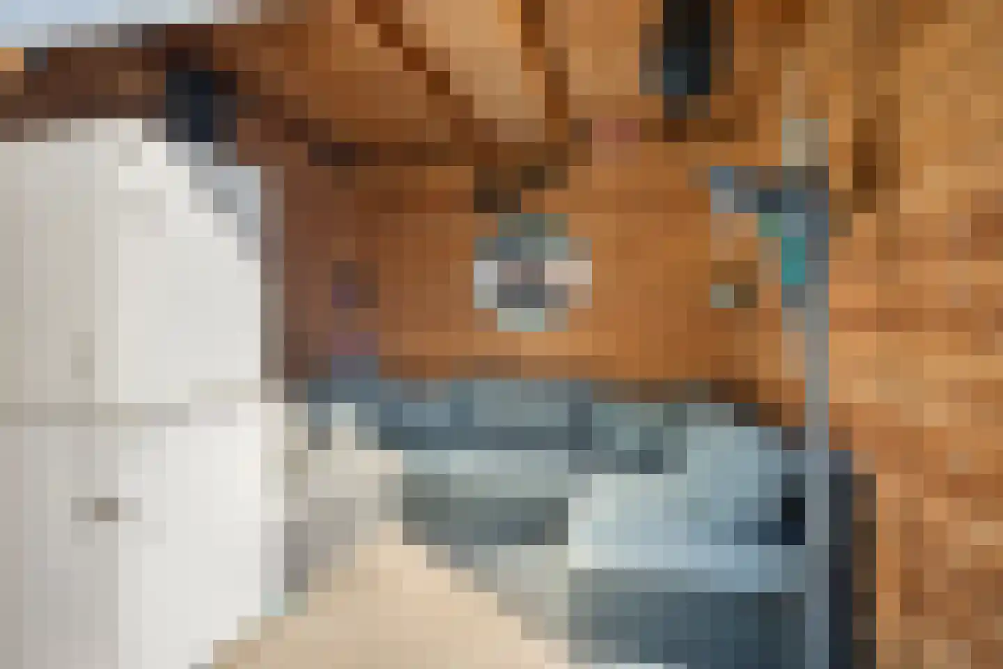 Karekiethof 6 Emmeloord thumbnail 24