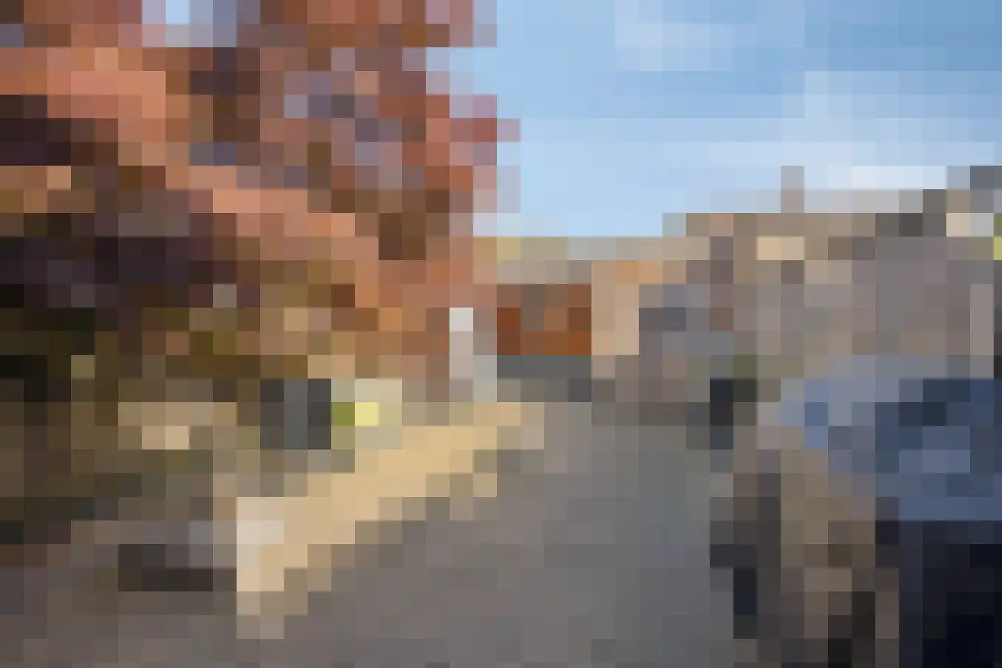 Karekiethof 6 Emmeloord thumbnail 25