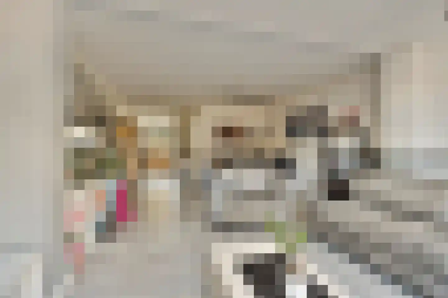 Karekiethof 6 Emmeloord thumbnail 5