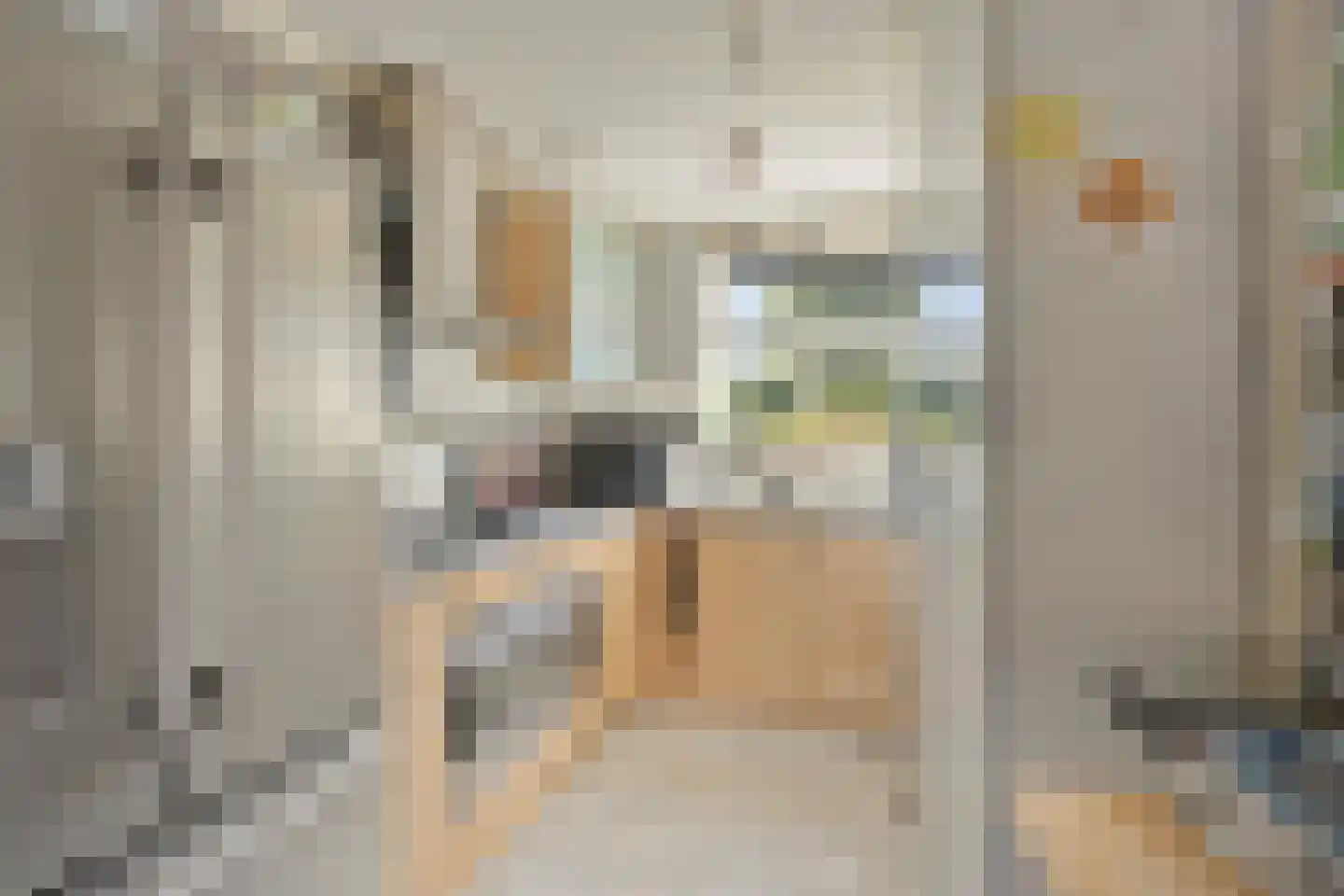 Karekiethof 6 Emmeloord thumbnail 9
