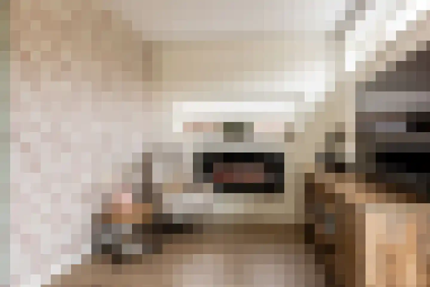 Karekietlaan 3 Oostvoorne thumbnail 11