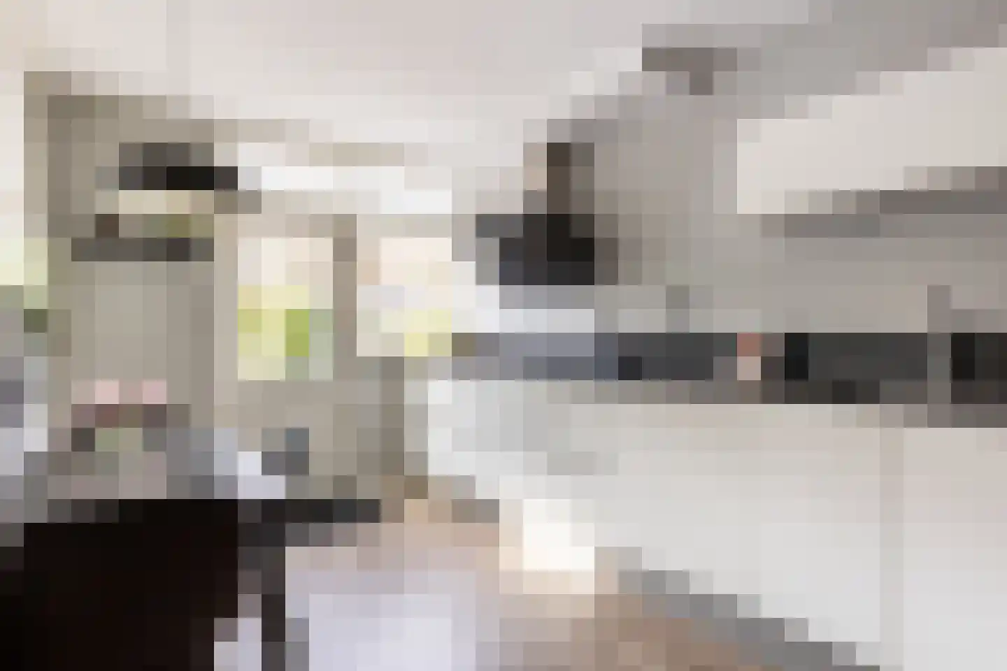 Karekietlaan 3 Oostvoorne thumbnail 15