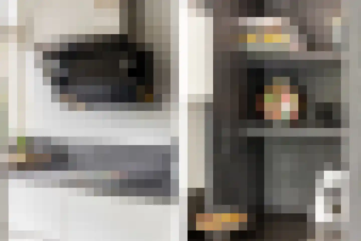 Karekietlaan 3 Oostvoorne thumbnail 17