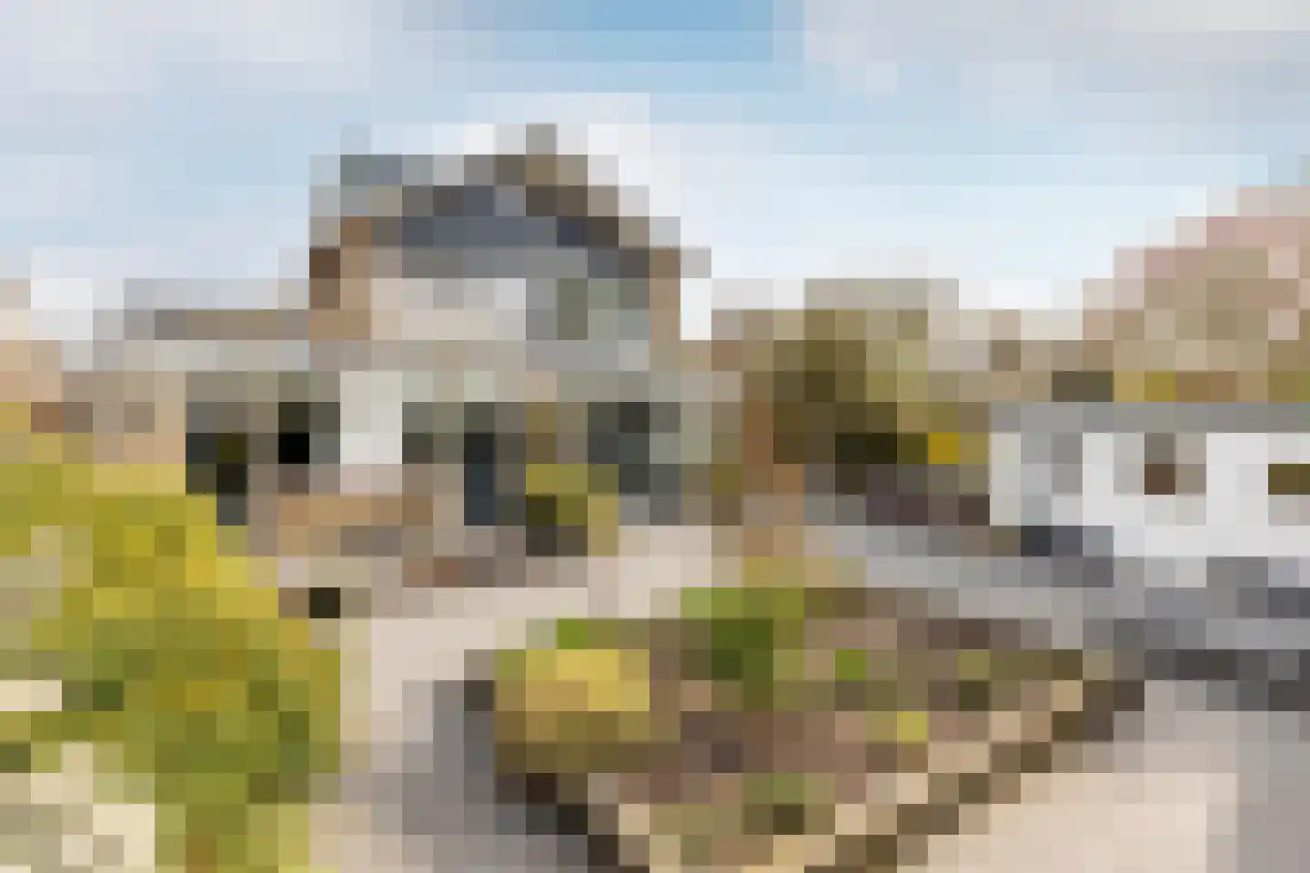 Karekietlaan 3 Oostvoorne foto 2